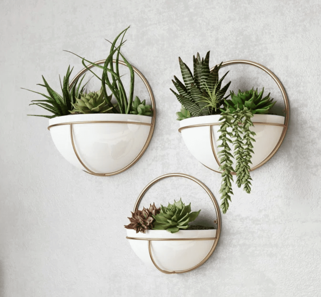 hanging houseplants on wall planter